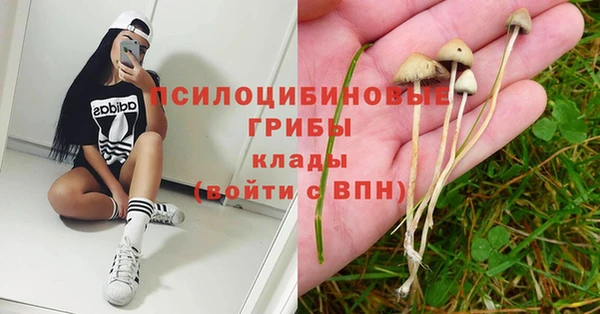 круглые Абаза
