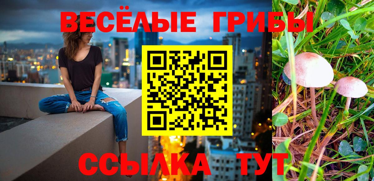 Галлюциногенные грибы MAGIC MUSHROOMS Гагарин